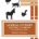 Animal Stories